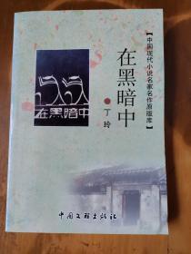 中国现代小说名家名作原版库——在黑暗中（书名错了）