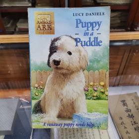 Puppy in a Puddle (Animal Ark)by Lucy Daniels  | Jan 1, 1999