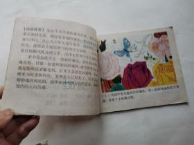 40开彩色连环画:玫瑰花精--安徒生童话(封底写有字)