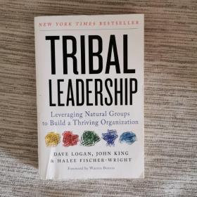 Tribal Leadership: Leveraging Natural Groups to Build a Thriving Organization