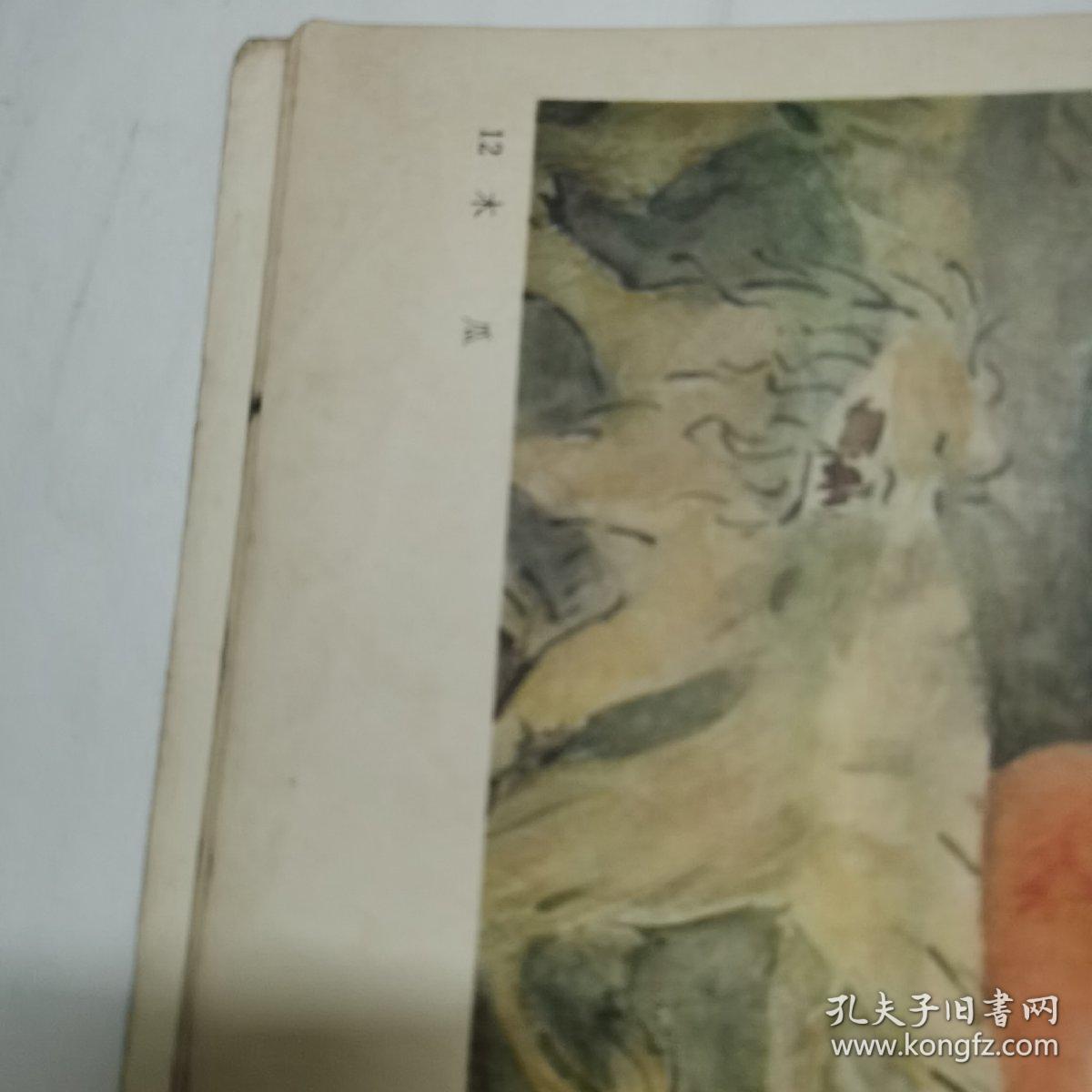 王肇民画辑