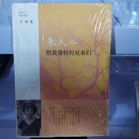 想我眷村的兄弟们：朱天心作品系列