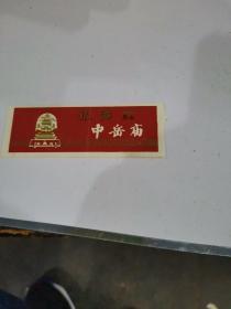 中岳庙老门票(无副券)
