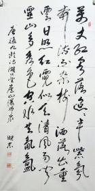 张映忠：男，汉族，1943年生于甘肃武山，中共党员，大专文化，现为天水市书法家协会会员、天水市老年书画研究会副会长兼秘书长、兰州文化联谊会会员。