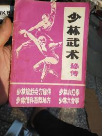 少林武术秘传