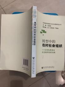 转型中的农村社会组织 : 以青岛莱西市社会组织发
展为例（027）