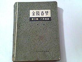 金陵春梦 第三集 八年抗战