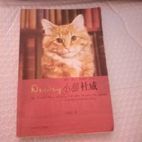 小猫杜威