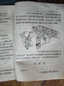 1956年魏金枝编<中国寓言故事>笫五册，朱梅邨绘图，林羲明装帧