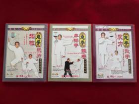 俏佳人荣誉出品 意拳(站桩 试力 单操手 推手 发力 散手) 3张DVD光盘 合售【正版原盘】