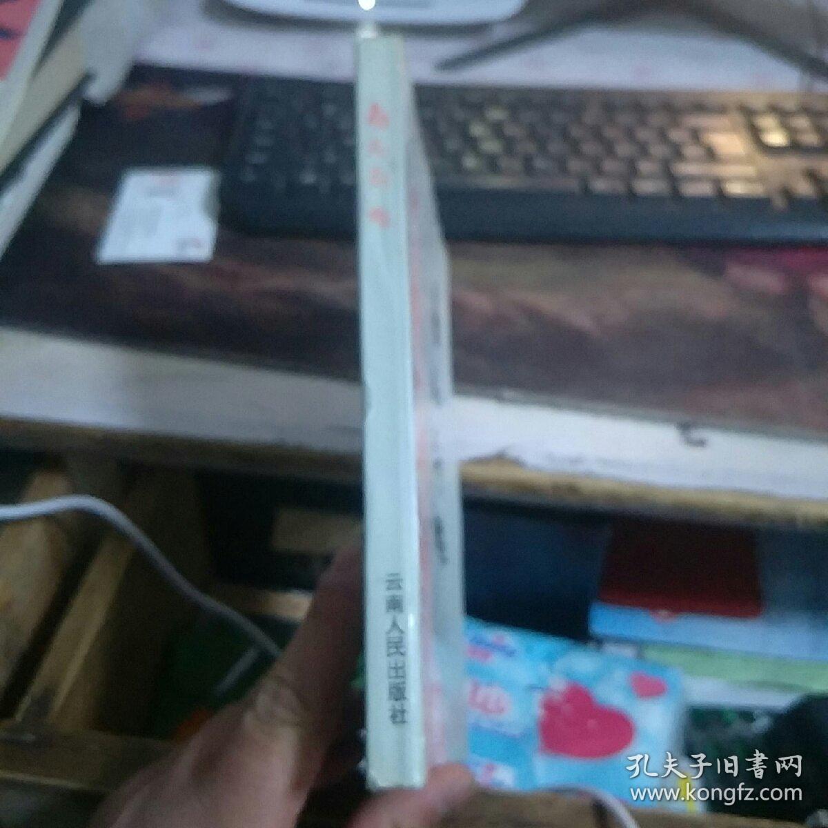 南昆群雕:南昆铁路报告文学集