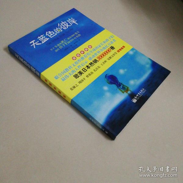 天蓝色的彼岸：关于生命和死亡最深刻的寓言