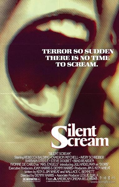 寂静尖叫 The Silent Scream (1979)