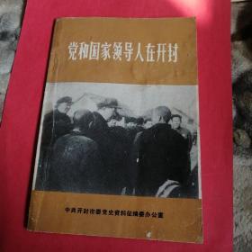 党和国家领导人在开封