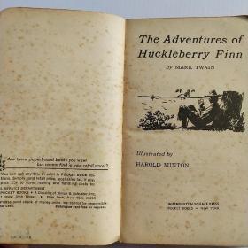 The Adventures of Huckleberry Finn