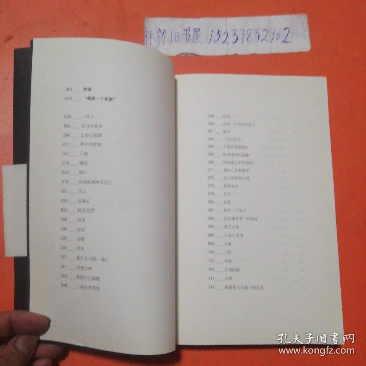 顾城的诗顾城的画：（插图本）