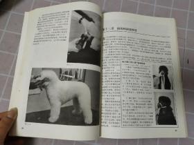 贵妇犬修剪与美容   一版一印，印量4000册
