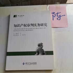 知识产权审判实务研究