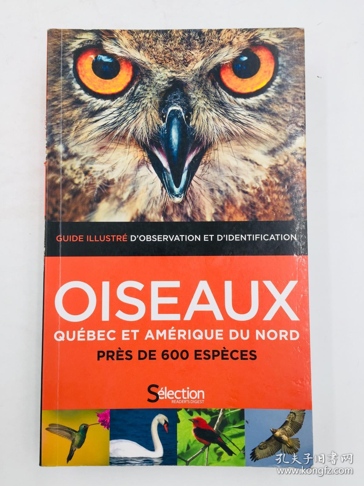 oiseaux quebec et amerique du nord 法语