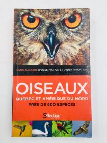 oiseaux quebec et amerique du nord 法语