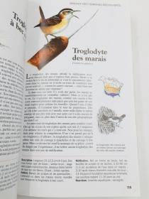 oiseaux quebec et amerique du nord 法语