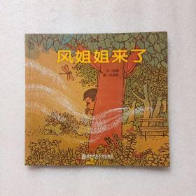 幼儿园早期阅读资源. 幸福的种子. 大班. 下. 风姐
姐来了