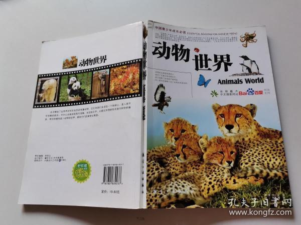 动物世界