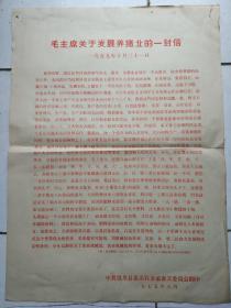 （**铅印传单）毛主席关于发展养猪业的一封信