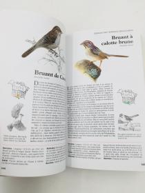 oiseaux quebec et amerique du nord 法语