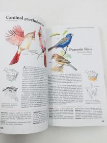 oiseaux quebec et amerique du nord 法语