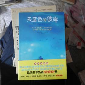 天蓝色的彼岸：关于生命和死亡最深刻的寓言