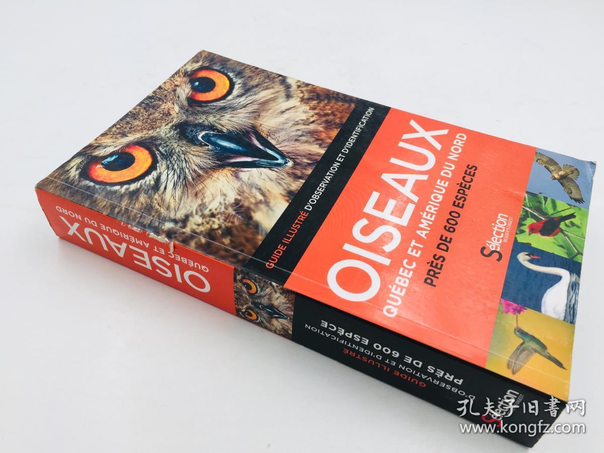 oiseaux quebec et amerique du nord 法语