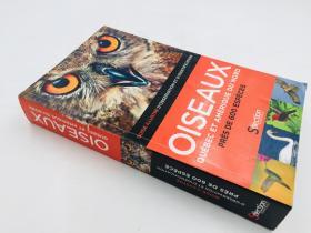 oiseaux quebec et amerique du nord 法语