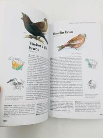 oiseaux quebec et amerique du nord 法语