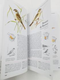 oiseaux quebec et amerique du nord 法语