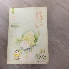 一刹花火2