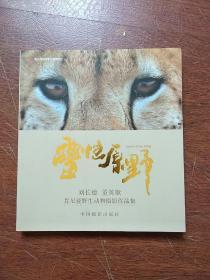 灵性原野 : 刘长德、 董英歌肯尼亚野生动物摄影作品集