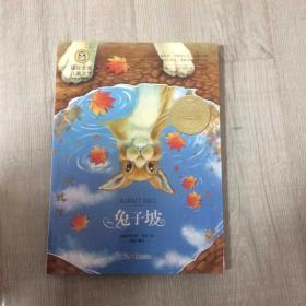 兔子坡 国际大奖儿童文学 (美绘典藏版)