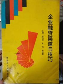 《企業(yè)融資渠道與技巧》