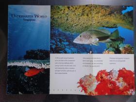 UNDERWATER WORLD SINGAPORE新加坡海底世界导游图 90年代 16开折页 英文版 新加坡海底世界位于新加坡的圣淘沙岛游乐场，有2300条海洋生物。