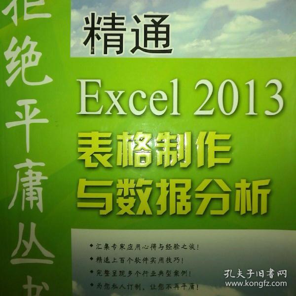 拒绝平庸丛书：精通Excel 2013表格制作与数据分析