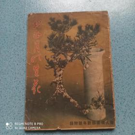 1934年 插花 盆景日本艺术类书