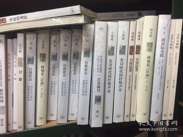 跨语际实践：文学、民族文化与被译介的现代性（中国1900-1937）