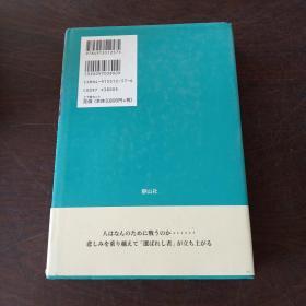 ハリー・ポッターと謎のプリンス - Harry Potter and the Half-Blood Prince ハリー・ポッタ (Harry Potter)（上、下卷，日文原版，有护封）