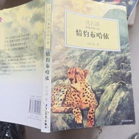 情豹布哈依：沈石溪激情动物小说