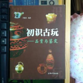 初识古玩：品赏与鉴定