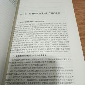 法官裁判智慧丛书：婚姻家庭纠纷裁判精要与规则适用