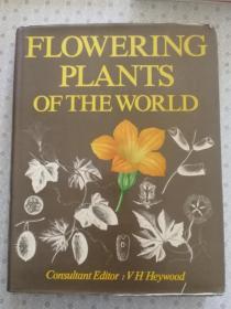 Flowering Plants of The World    Consultant Editior : YH Heivwood  英语原版精装铜版彩印