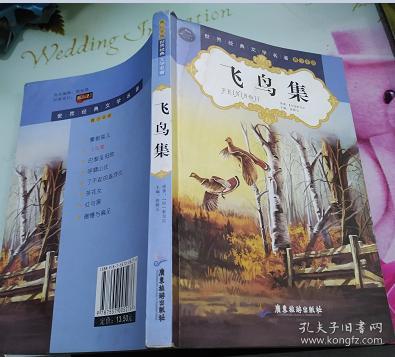 飞鸟集--青少年版