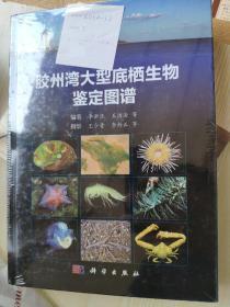 胶州湾大型底栖生物鉴定图谱 全新正版带塑封